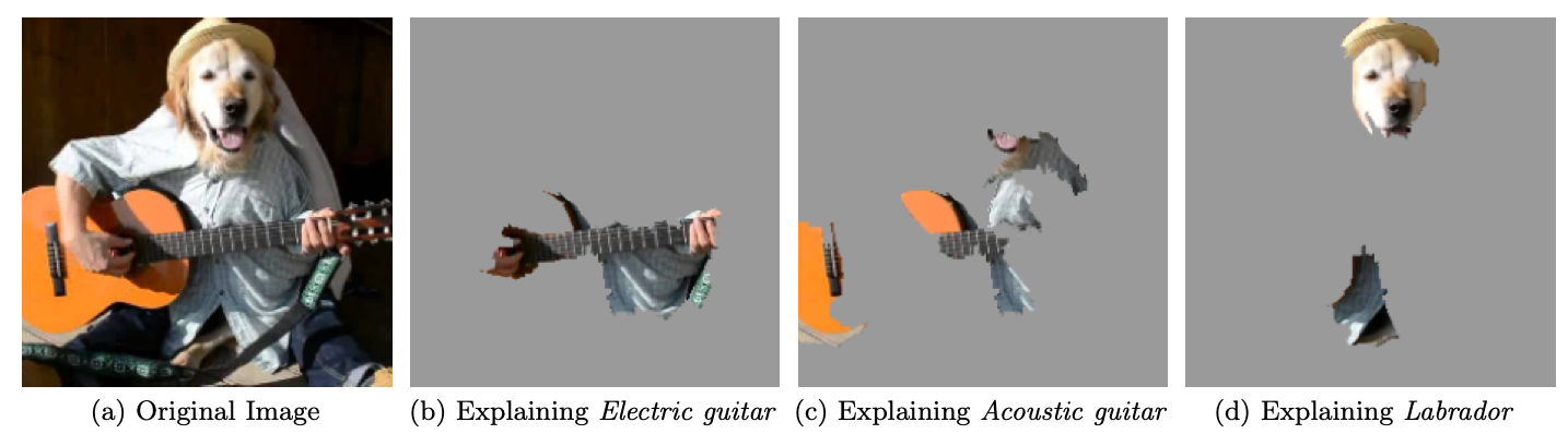 LIME explanations for an image
classification