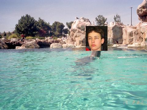 Seal Sam