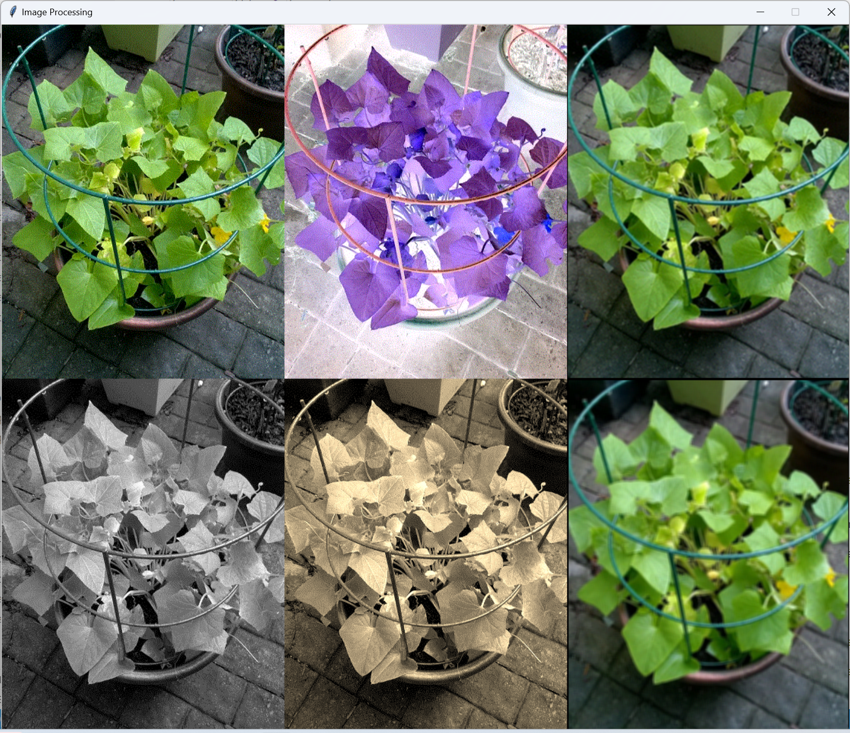 <image: different image processing outputs>