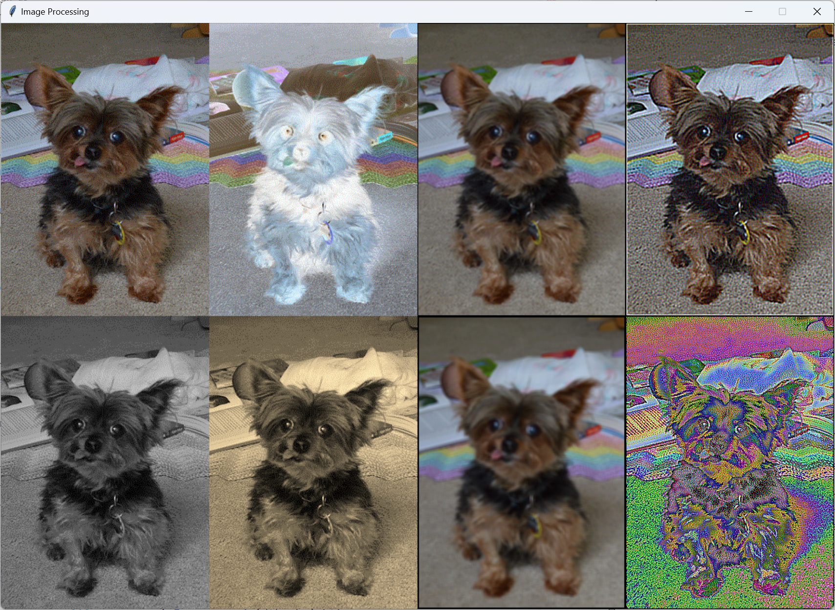 <image: different image processing outputs with .gif>