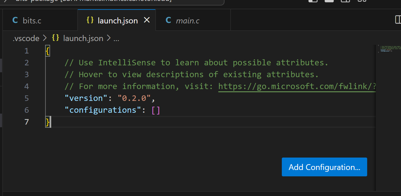 Explorer panel with new launch.json file