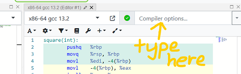 Before setting compiler flags