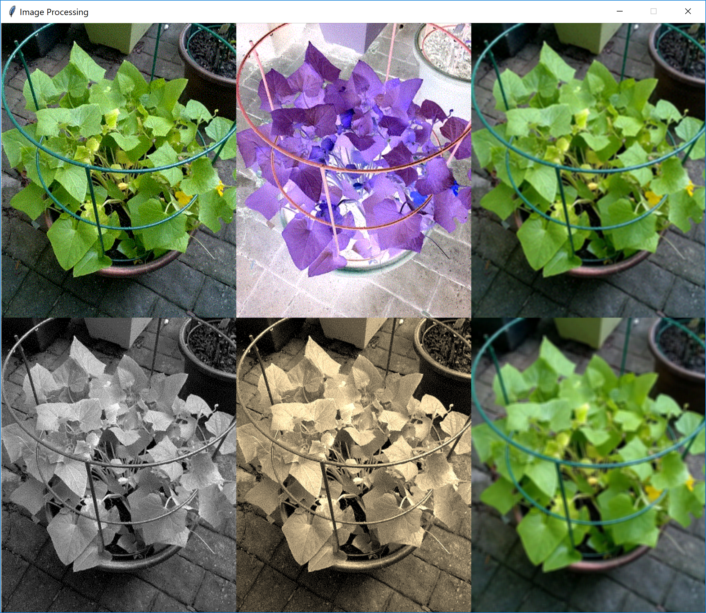 different image processing outputs <image: different image processing outputs>